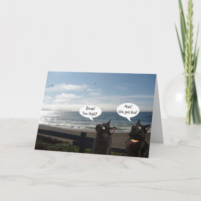 Schwarze Katzen Wollend Vogelschutzkarte Karte (Vorderseite)