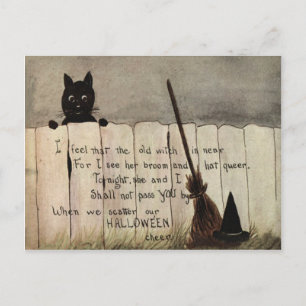 Schwarze Katzen Zaun Hexenbesen Hut Postkarte