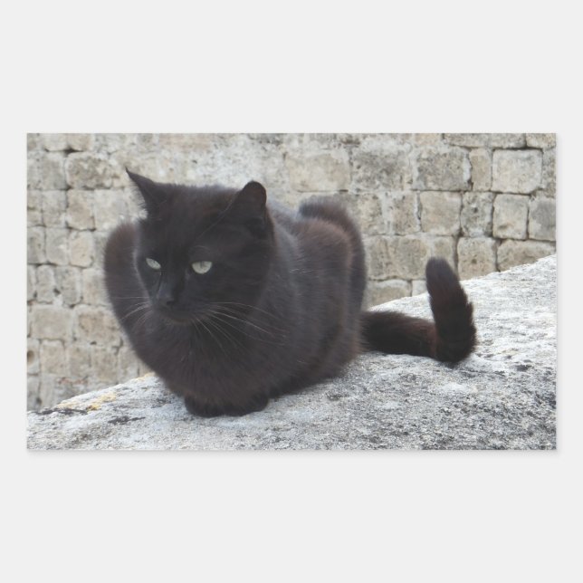 Schwarze Katzenaufkleber Rechteckiger Aufkleber (Vorderseite)