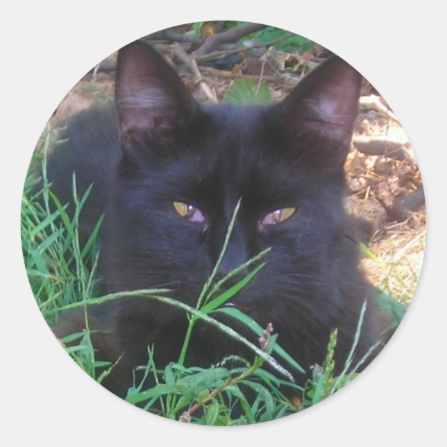 Schwarze Katzenaufkleber Runder Aufkleber (Vorderseite)