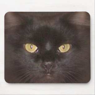 schwarze Katzenaugen Mousepad