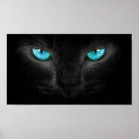 Schwarze Katzengesicht mit türkisfarbenen Augen