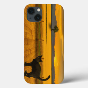 Schwarze Katzenlandschaft Case-Mate iPhone Hülle
