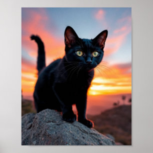 Schwarze Katzensilhouette beim Sonnenuntergang Wan Poster