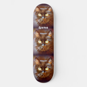 Schwarze Kittycats Thunder_Cove Skateboard