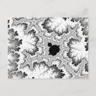 Schwarze Korallen-Postkarte Postkarte