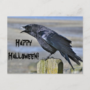 Schwarze Krähe halloween Postkarte