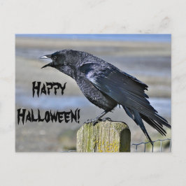 Schwarze Krähe halloween Postkarte