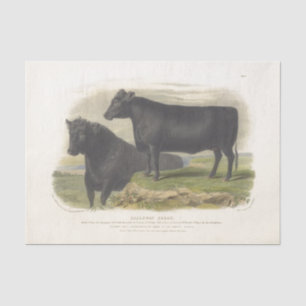 Schwarze Kuh Ephemera Decoupage Vintage Farm Seidenpapier
