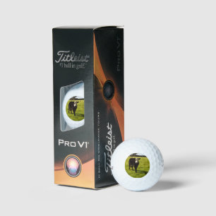 Schwarze Kuh mit weißem Gesicht und Mohawk, Golfball