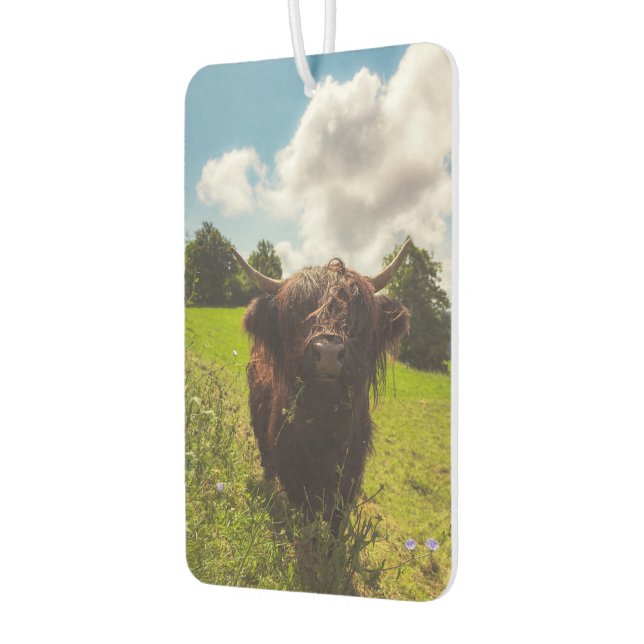 Schwarze Kuh Weide grünes Feld Sonnenlicht Autolufterfrischer (Links)