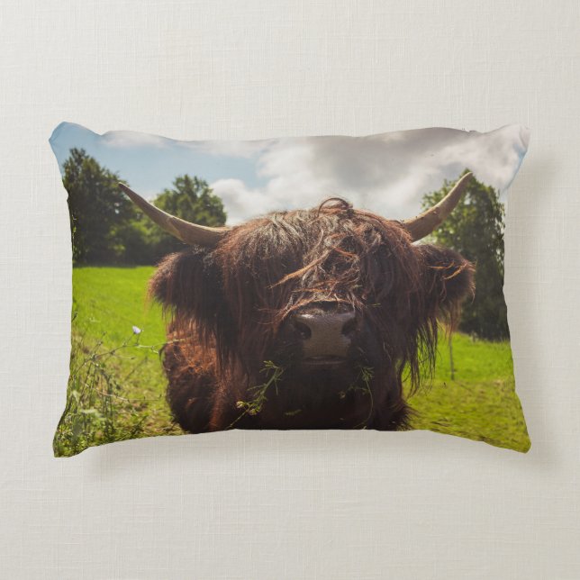 Schwarze Kuh Weide grünes Feld Sonnenlicht Dekokissen (Vorderseite)