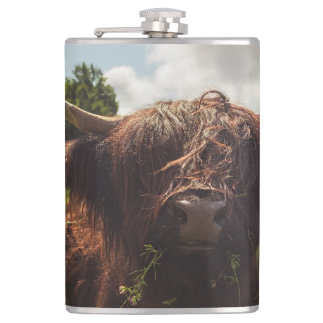 Schwarze Kuh Weide grünes Feld Sonnenlicht Flachmann (Vorderseite)