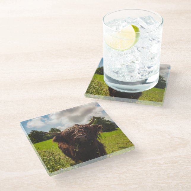 Schwarze Kuh Weide grünes Feld Sonnenlicht Glasuntersetzer (Schrägansicht)