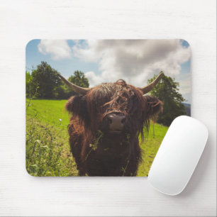 Schwarze Kuh Weide grünes Feld Sonnenlicht Mousepad