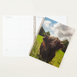 Schwarze Kuh Weide grünes Feld Sonnenlicht Planer