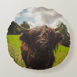 Schwarze Kuh Weide grünes Feld Sonnenlicht Rundes Kissen