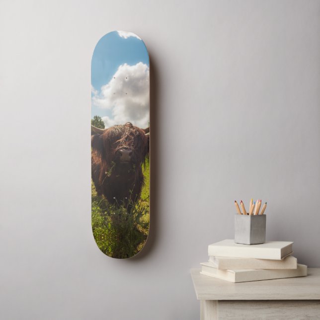 Schwarze Kuh Weide grünes Feld Sonnenlicht Skateboard (Wandkunst)