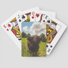 Schwarze Kuh Weide grünes Feld Sonnenlicht Spielkarten