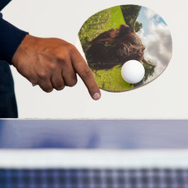 Schwarze Kuh Weide grünes Feld Sonnenlicht Tischtennis Schläger