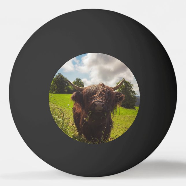 Schwarze Kuh Weide grünes Feld Sonnenlicht Tischtennisball (Vorderseite)