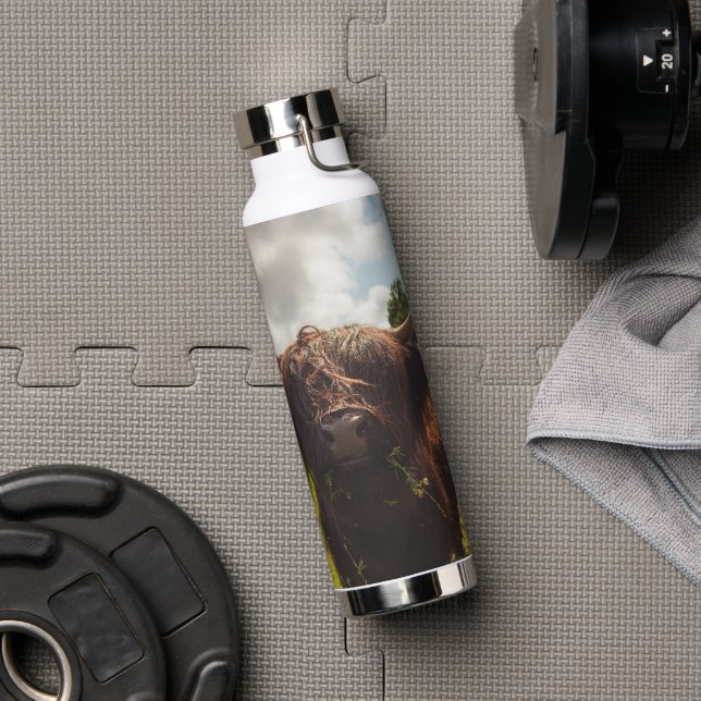 Schwarze Kuh Weide grünes Feld Sonnenlicht Trinkflasche (Fitnessstudio)