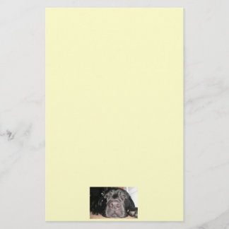 Schwarze Lab-Papiere Briefpapier