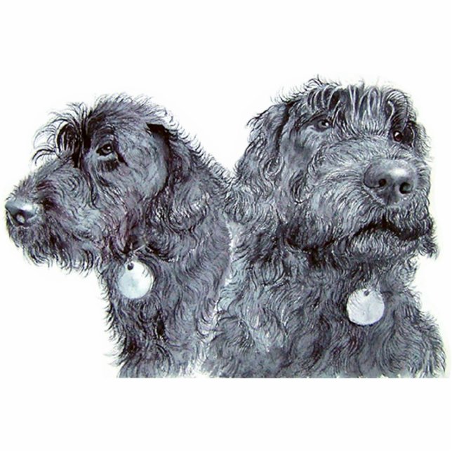 Schwarze Labradoodles Skulptur Freistehende Fotoskulptur (Vorne)