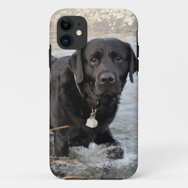 Schwarze Labrador-Liebe Case-Mate iPhone Hülle (Rückseite)
