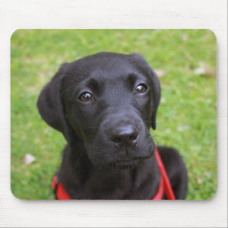 Schwarze Labrador-Mäusematte Mousepad
