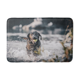 Schwarze Labrador-Plays in Wasser Badematte
