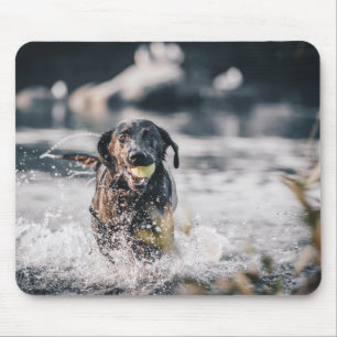 Schwarze Labrador-Plays in Wasser Mousepad