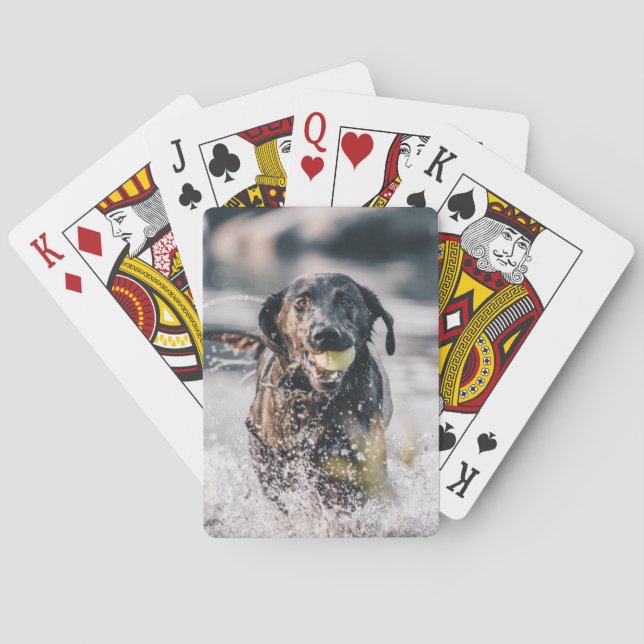 Schwarze Labrador-Plays in Wasser Spielkarten (Rückseite)