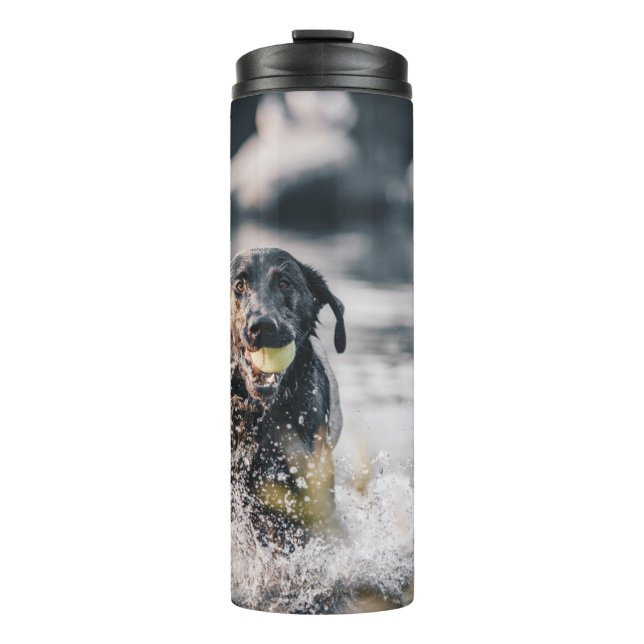 Schwarze Labrador-Plays in Wasser Thermosbecher (Vorderseite)