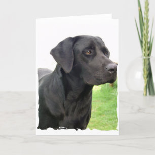 Schwarze Labrador Retriever Grußkarte Karte