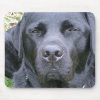 Schwarze Labrador retriever-Hundemausunterlage Mousepad