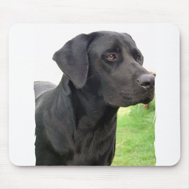 Schwarze Labrador retriever-Mausunterlage Mousepad (Vorne)