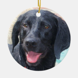 Schwarze Labrador-Verzierung Keramik Ornament