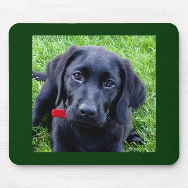 Schwarze Labrador-WelpenMausunterlage Mousepad (Vorne)