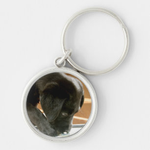 Schwarze Labradorschlüsselkette Schlüsselanhänger