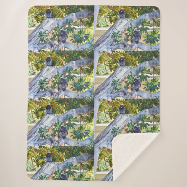 Schwarze Langur Affen essen, großer Sherpa Blanket Sherpadecke (Vorderseite)