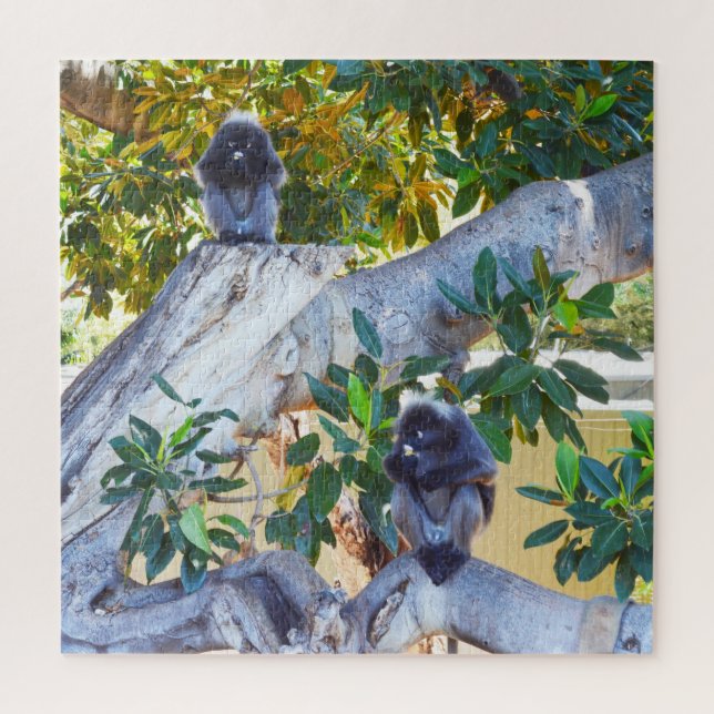 Schwarze Langur Affen essen, Jigsaw Puzzle (Vertikal)
