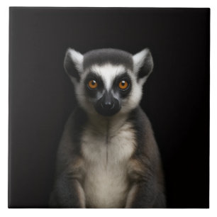 Schwarze Luxe-Fliese 4 mit sanftem Lemur Fliese