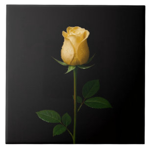 Schwarze Luxe-Fliese 4 mit sonnengelber Rose Fliese
