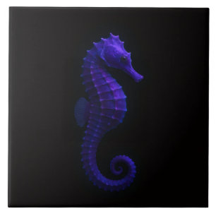 Schwarze Luxe-Fliese 4 mit violettblauem Seepferdc Fliese