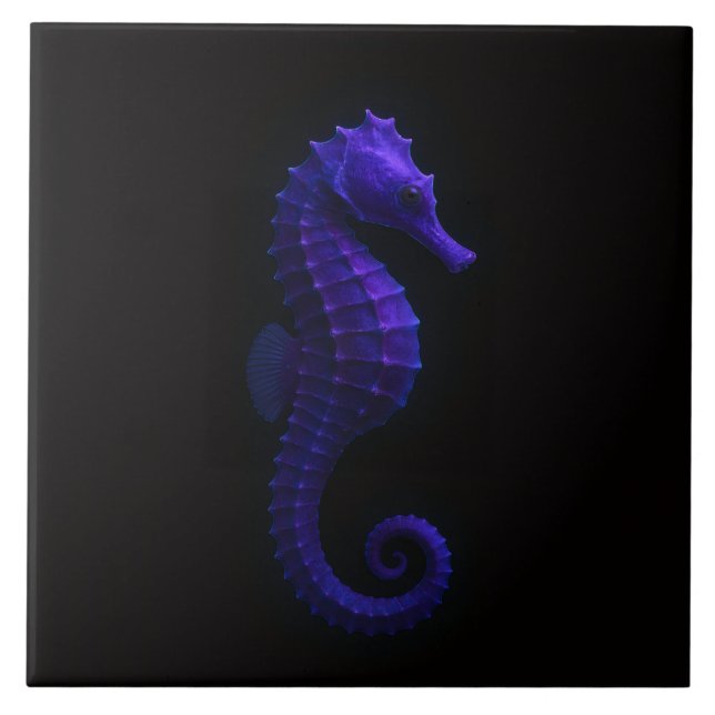 Schwarze Luxe-Fliese 4 mit violettblauem Seepferdc Fliese (Vorderseite)