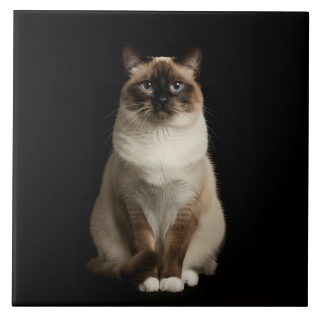 Schwarze Luxe-Fliese mit Birman-Katze Fliese (Vorderseite)