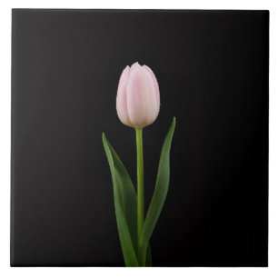 Schwarze Luxus-Kachel 4 mit rosafarbenem Tulpenmot Fliese
