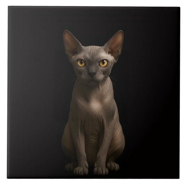 Schwarze Luxus-Kachel mit Sphynx-Katze Fliese (Vorderseite)
