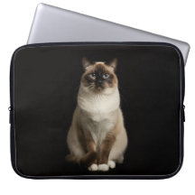 Schwarze Luxus-Laptoptasche 4, Birma-Katze